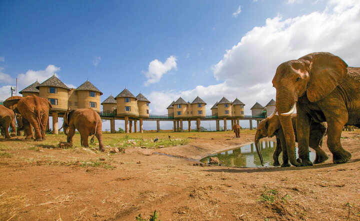 Kenia - Safari Touren & Badespaß