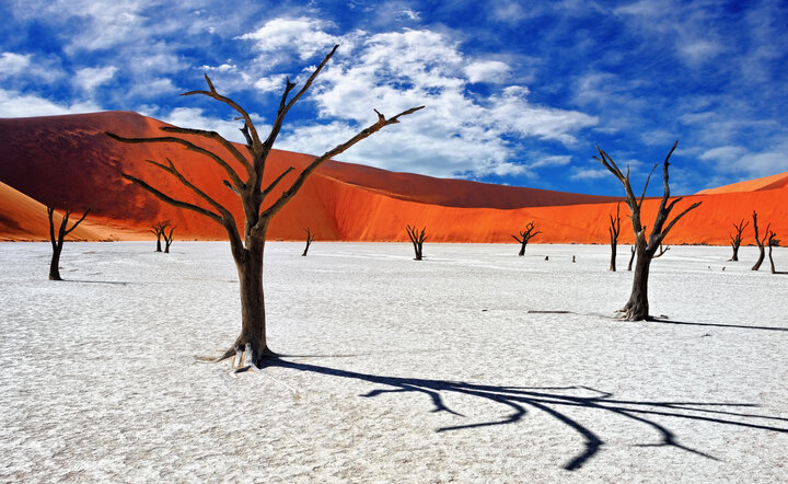 Die Höhepunkte Namibias entdecken!