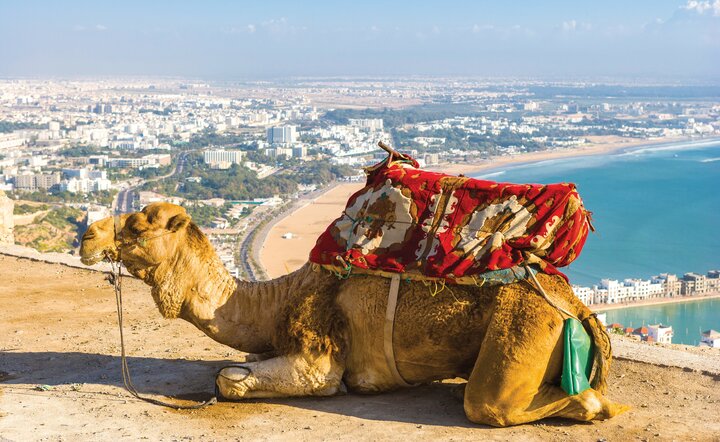 Marokkos Königsstädte, Kasbahs & Erholung