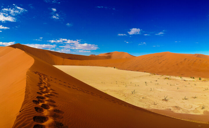 Die Höhepunkte Namibias entdecken!