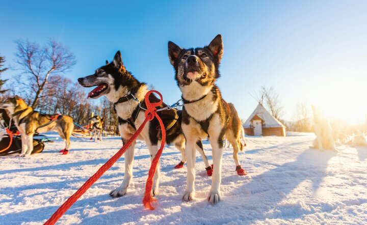 Erlebnisreiche Eiskreuzfahrt Finnland 2027 (Finnlines)