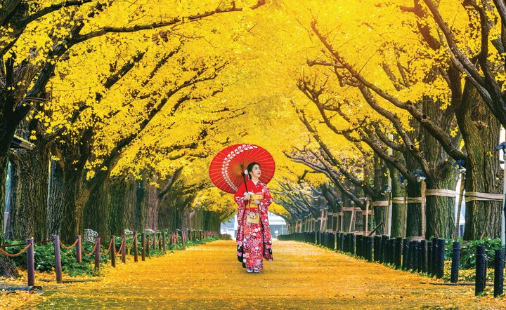 Japan - Faszination Fernost
