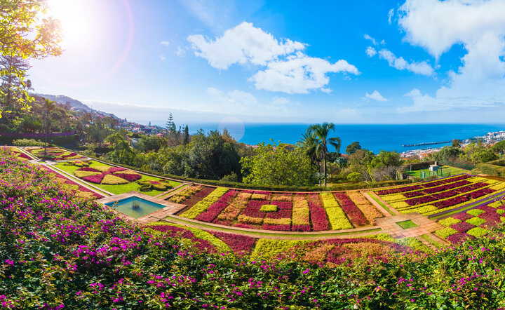Blumeninsel Madeira