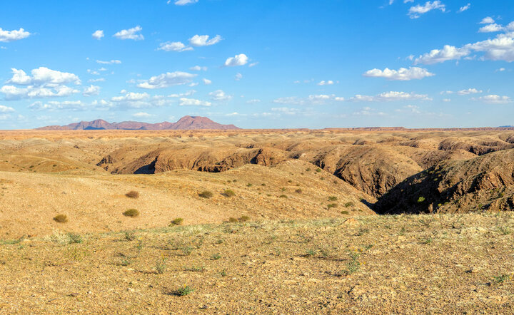 Die Höhepunkte Namibias entdecken!
