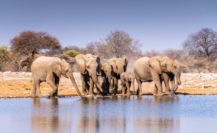 Die Höhepunkte Namibias entdecken!