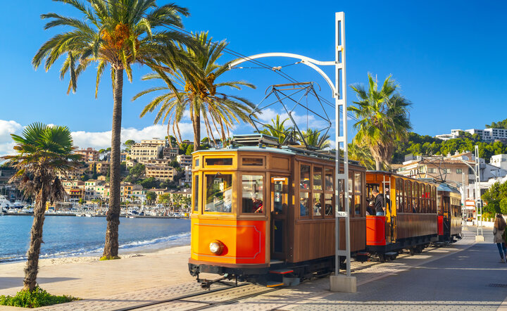 Mallorca zur schönsten Blütezeit