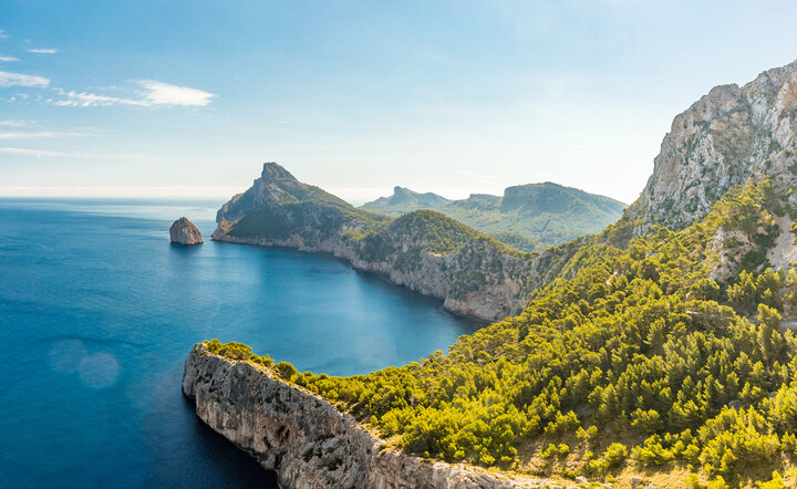 Mallorca zur schönsten Blütezeit