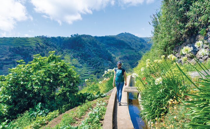 Blumeninsel Madeira