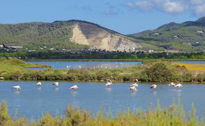 Ibiza & Formentera erleben