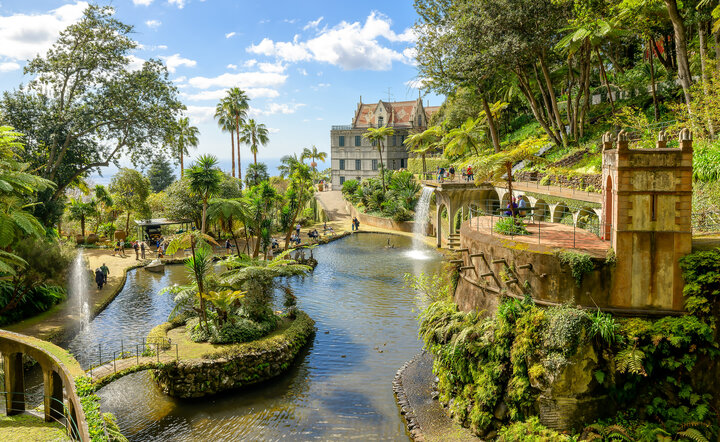Blumeninsel Madeira