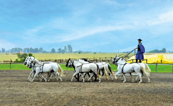 Auf der Donau zu Hause (MS Arena)