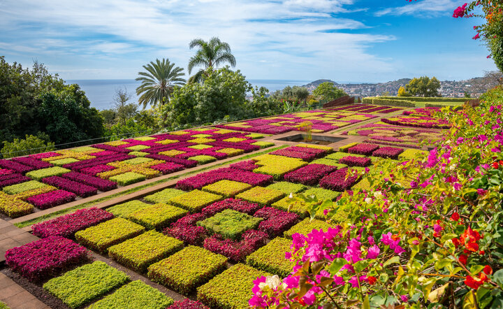 Blumeninsel Madeira