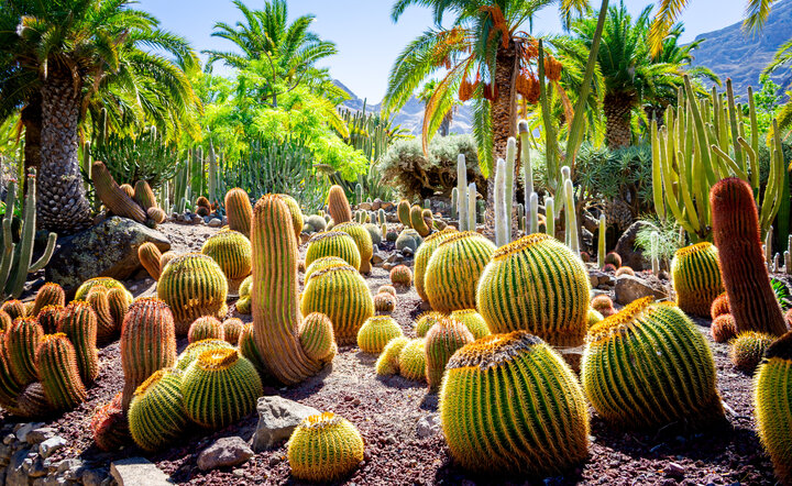 Gran Canaria - Urlaub auf der Sonneninsel