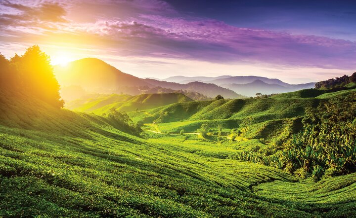 Singapur & Malaysia - Schmelztiegel der Kulturen