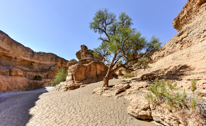 Die Höhepunkte Namibias entdecken!