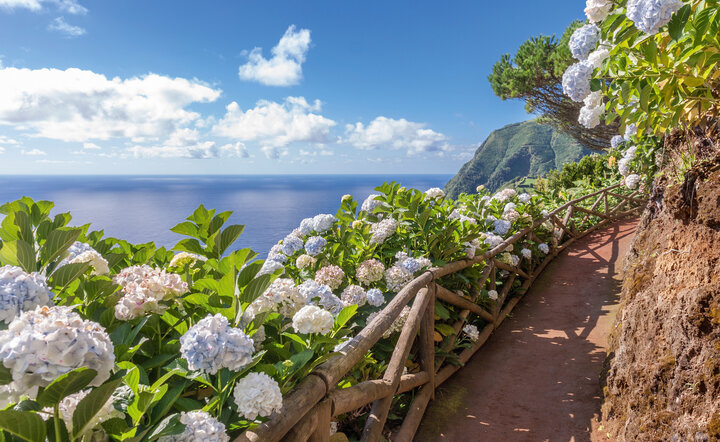 Azoren Inselhüpfen - Naturgenuss im Atlantik