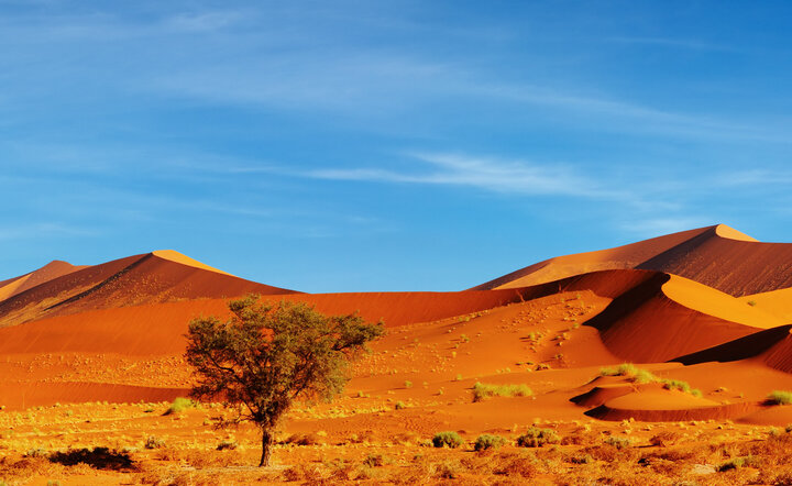 Die Höhepunkte Namibias entdecken!