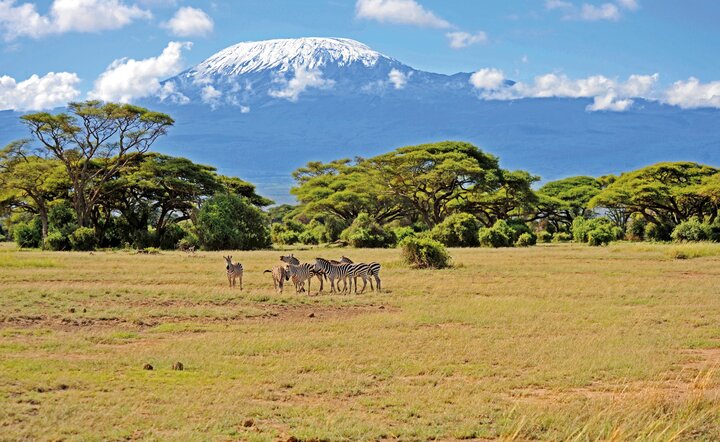Kenia - Safari Touren & Badespaß