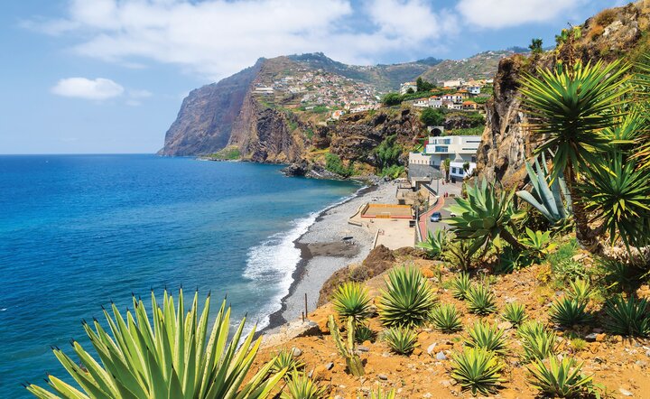 Blumeninsel Madeira