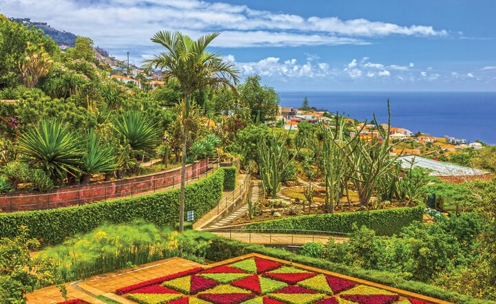 Blumeninsel Madeira
