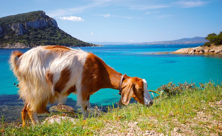 Sardinien - Smaragd im Mittelmeer