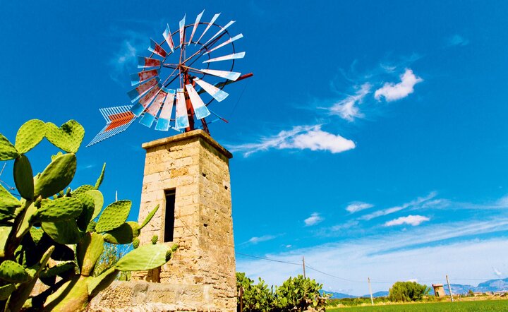 Mallorca zur Blütezeit