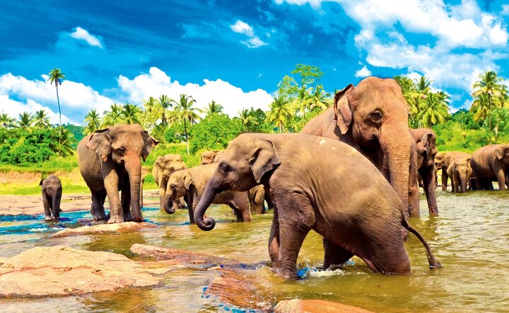 Sri Lanka - Perle des Indischen Ozeans