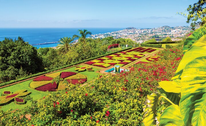 Blumeninsel Madeira
