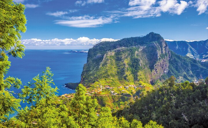 Blumeninsel Madeira