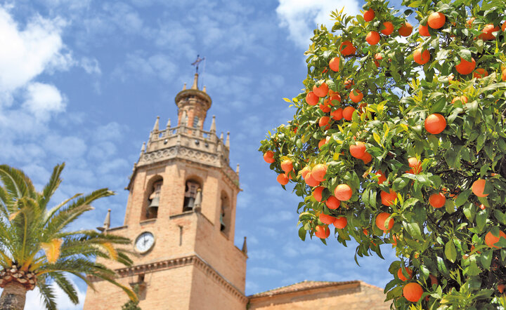Andalusien - Das Feuer Spaniens erleben