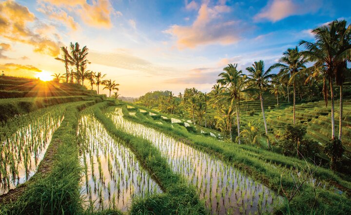 Bali - Insel der Götter und Träume
