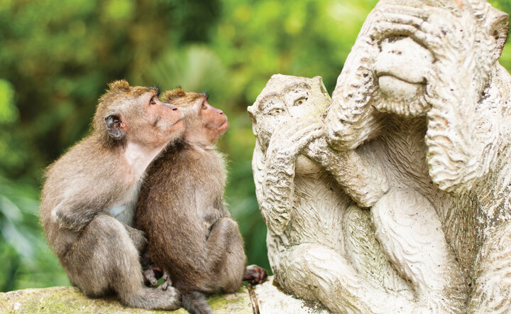 Bali - Insel der Götter und Träume
