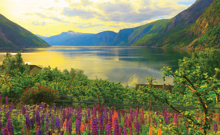 Norwegens Naturschätze (TUI Mein Schiff 3)