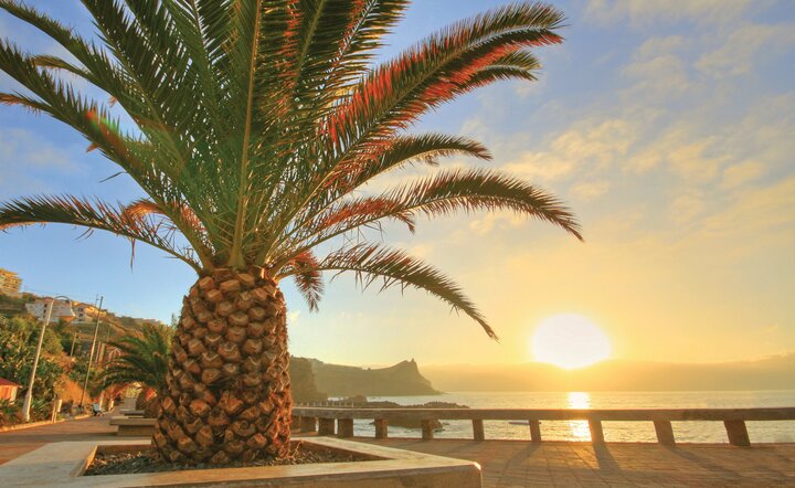Blumeninsel Madeira