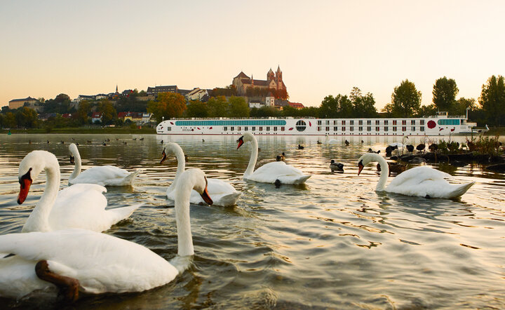 Winterzauber auf dem Rhein (A-ROSA BRAVA)