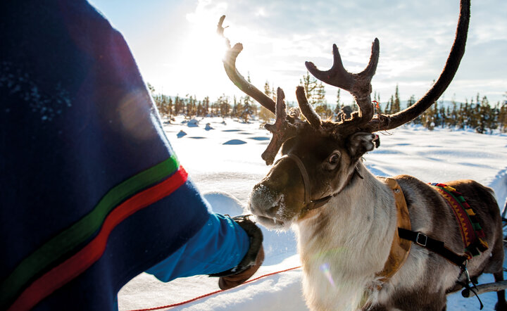 Magische Winterreise nach Schwedisch Lappland