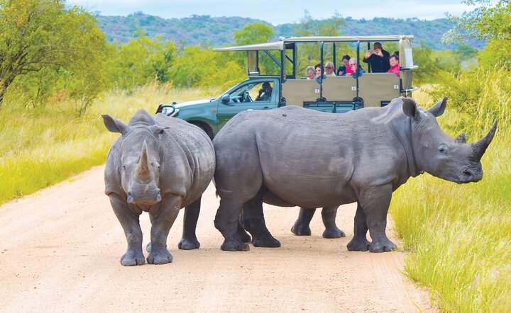 Den Süden Afrikas und Mauritius entdecken