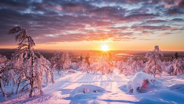 Magische Winterreise nach Schwedisch Lappland