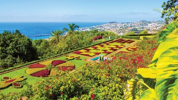 Flugreise: Blumeninsel Madeira