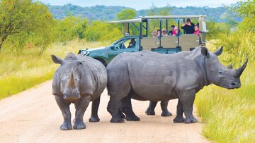 Flugreise: Südafrika - Auf der Spur der großen Fünf