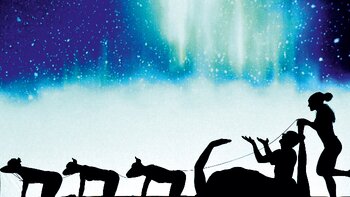 Perfekt auf Weihnachten und das Thema Reisen abgestimmt, begeisterten die Moving Shadows das Publikum mit zauberhaften Schattenspielen.