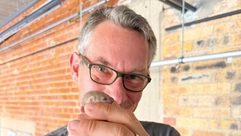 Geld für Vereins-Schwimmbad Meinsdorf